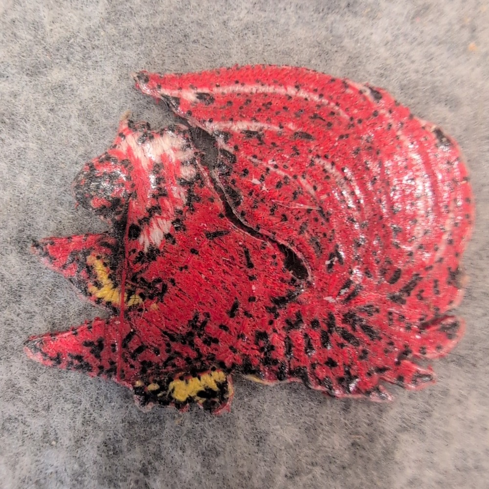 Jacksonville State University JSU Gamecock Embroidered Mascot Patch Red White - Picture 2 of 3